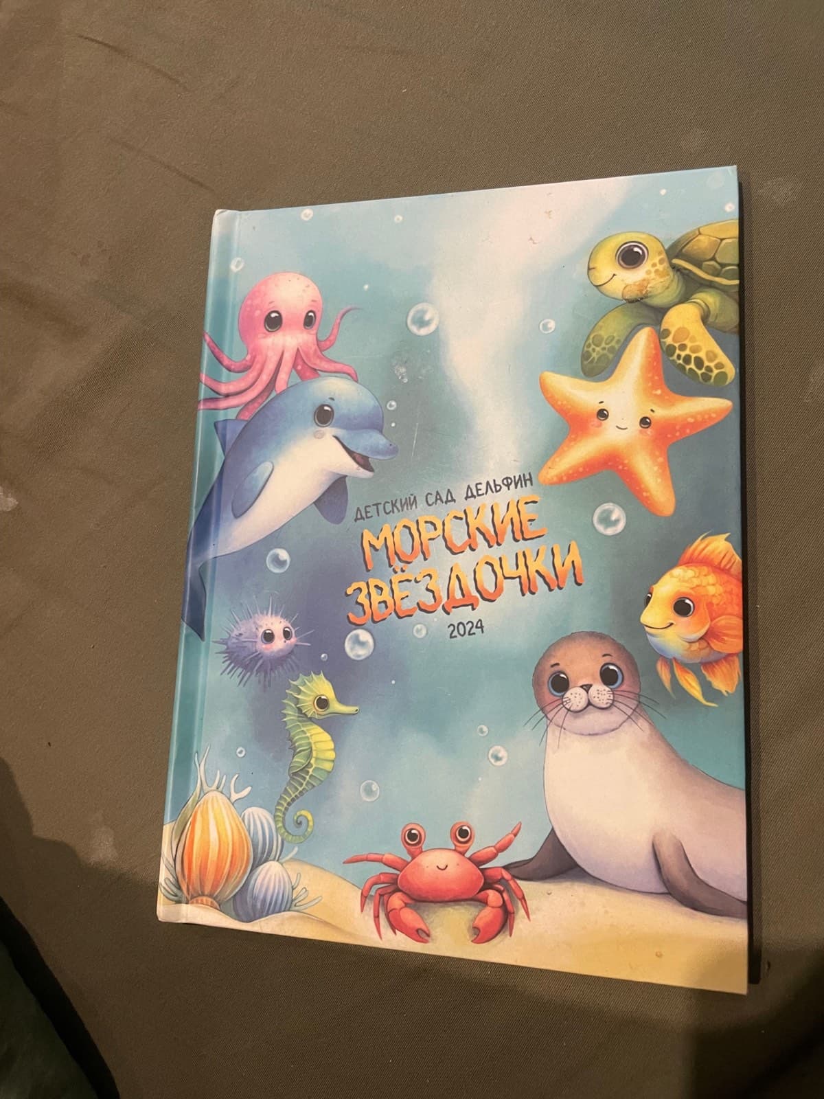 Delfin kindergarten, 2024. Hardcover, drawn cover art.